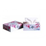 Անձեռոցիկ Papyrus Level , երկշերտ, 100 հատ 20305