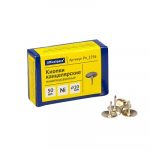 Կոճգամներ Office Space 10մմ, 50հատ 12432