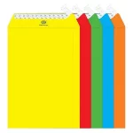 CD/DVD-ի ծրար FIS գունավոր 11016